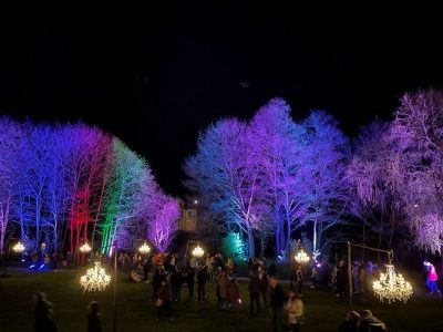 Parklandschaft bei Nacht: kahle Bäume sind in Blau, Violett, Pink und Grün angestrahlt, dazwischen hängen Kristallleuchter an Gestellen. Auf der Wiese gehen zahlreiche Besucher umher.
